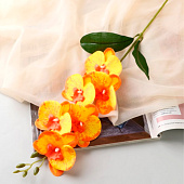 Цветы искусственные «Орхидея фаленопсис» премиум, 7?55 см, жёлтые Цветы искусственные «Орхидея фаленопсис» премиум, 7?55 см, жёлтые