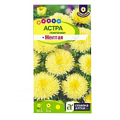 Астра Помпонная Желтая СА Астра Помпонная Желтая СА