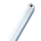 Лампа люминесцентная 36W/640/OSRAM Лампа люминесцентная 36W/640/OSRAM
