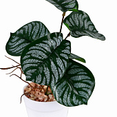 Искусственный цветок в горшке Филодендрон 7,5х20 см 9789751 Искусственный цветок в горшке Филодендрон 7,5х20 см 9789751