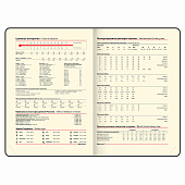  Ежедневник недатированный А5 BRAUBERG VISTA, 136л, под кожу гибкий, Dreamcatcher, 111996 