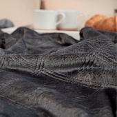 Плед Республика заШтория TF FNE DKGY2 rz 041/2022 Плед Республика заШтория TF FNE DKGY2 rz 041/2022