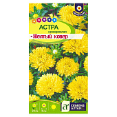 Астра Желтый Ковер низкорослая СА Астра Желтый Ковер низкорослая СА