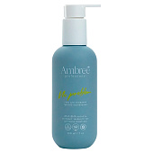 Гель для умывания Ambree professional No problem 200мл dbk-1750