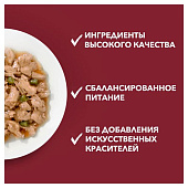 Влажный корм для собак ONE МИНИ Акт Соб Утка Паст Зел Фас 85г