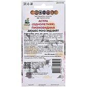 Астра Дюшес Роуз энд Вайт пионовидная Астра Дюшес Роуз энд Вайт пионовидная