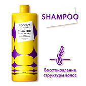 Кондиционер Concept Fusion для восстановления волос Detox Balance 400мл Кондиционер Concept Fusion для восстановления волос Detox Balance 400мл
