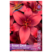 Лилия Кларет Джой, 10/12, аз.низк. 7шт Колорлайн Лилия Кларет Джой, 10/12, аз.низк. 7шт Колорлайн