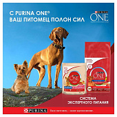 Влажный корм для собак ONE МИНИ Акт Соб Утка Паст Зел Фас 85г