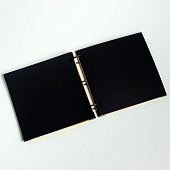  Фотоальбом на кольцах Одуванчик, 30 листов, чёрные листы, 18,5х18,5 см, 7402900 