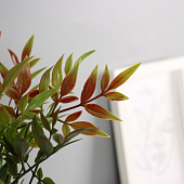 Искусственный цветок в горшке Хамедорея эстра, 22х8,5 см, микс, 10463222 Искусственный цветок в горшке Хамедорея эстра, 22х8,5 см, микс, 10463222