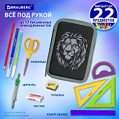  Пенал Brauberg, 2 отделения, полиэстер, 21х14 см, Savage lion, 272331 