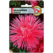 Астра Валькирия селект Скарлет Биотехника Астра Валькирия селект Скарлет Биотехника