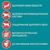 Влажный корм для кошек ONE STERIL Курица с Зелеными Бобами 75г