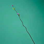 Интерьерный декор из бамбука, цветы пластик 200 см сиреневый 7779957 Интерьерный декор из бамбука, цветы пластик 200 см сиреневый 7779957