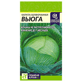 Капуста Вьюга СА