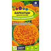 Бархатцы Сиерра Оранжевые СА Бархатцы Сиерра Оранжевые СА