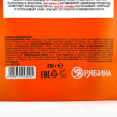  Скраб для тела соляной РЯБИНА с экстрактом рябины, 250 г 9872248 