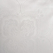  Комплект постельного белья 2 спальный Cleo тенсель 21/022-TJ 