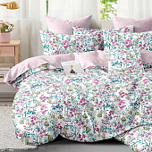  Комплект постельного белья Cleo Поплин Pure Cotton дуэт 41/181-PC 