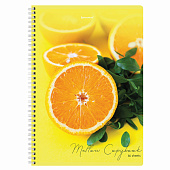 Тетрадь 80л. А4. BRAUBERG гребень, клетка, обложка картон, Фрукты, 404051 Тетрадь 80л. А4. BRAUBERG гребень, клетка, обложка картон, Фрукты, 404051