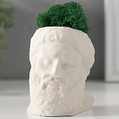 Кашпо бетонное Прометей со мхом, 6,5х5 см, белый, 10412081 Кашпо бетонное Прометей со мхом, 6,5х5 см, белый, 10412081