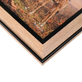  Фоторамка 10х15 пластик Крассика. Дерево бежевая 14х192 10724006 