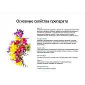 Пуршат-М для комнатных 0,5л концентрат Пуршат-М для комнатных 0,5л концентрат