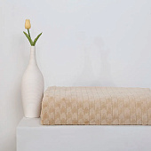  Плед 150х200 Cleo Home Bars велсофт 150/004-BAR/LA 