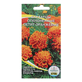 Бархатцы Петит оранжевый ВХ Бархатцы Петит оранжевый ВХ