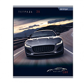 Тетрадь 36л. А5. клетка Alingar NATURE CAR 4 дизайна AL10358 Тетрадь 36л. А5. клетка Alingar NATURE CAR 4 дизайна AL10358