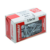 Гвозди толевые евро 2,8(3,0)x30 бел цинк( 0,2 кг)