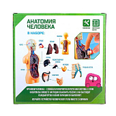 ЭВРИКИ Научный опыт "Анатомия человека" №SL-01927 3690720 ЭВРИКИ Научный опыт "Анатомия человека" №SL-01927 3690720
