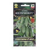 Огурец Все пучком Аэлита Огурец Все пучком Аэлита