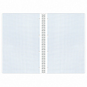 Тетрадь 80л. А4. BRAUBERG гребень, клетка, обложка картон, Dream, 404049 Тетрадь 80л. А4. BRAUBERG гребень, клетка, обложка картон, Dream, 404049