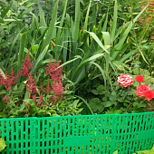 Защита кустов и деревьев, зеленый Защита кустов и деревьев, зеленый