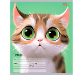 Тетрадь 12л линия Мультяшный котик обл. цв. мел. 5 диз. (25/250) /12-5573/ Тетрадь 12л линия Мультяшный котик обл. цв. мел. 5 диз. (25/250) /12-5573/