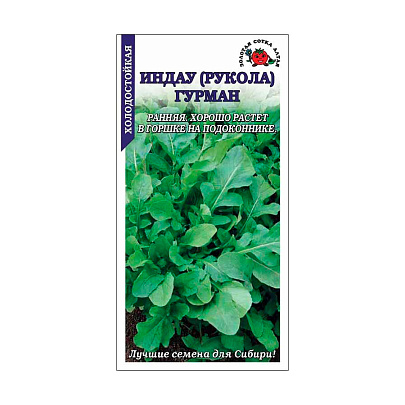 Рукола Гурман, ЗС Рукола Гурман, ЗС