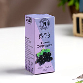  Аромамасло Богатство Аромата Чёрная смородина 10 мл 9800032 