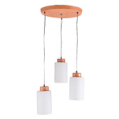 Светильник подвесной 10242/3WD WT 60Вт E27 S=7м2 /ЭкономСвет Светильник подвесной 10242/3WD WT 60Вт E27 S=7м2 /ЭкономСвет