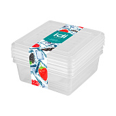  Набор контейнеров д/заморозки "Asti" квадратные 0,5л 221101101/00 