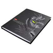  Бизнес-блокнот А5  80л блок клетка 5-ти цв. тв. обл. матов.лам. 3D фольга 3D лак Black Cat (20) /80ББ5лофлВ1_30991/ 