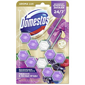 Подвесной блок для унитаза Domestos Power5 Сказ.аромат 2х50 Подвесной блок для унитаза Domestos Power5 Сказ.аромат 2х50