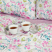 Комплект постельного белья Cleo Поплин Pure Cotton дуэт 41/181-PC