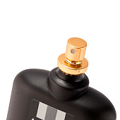 Туалетная вода Alliance Sport мужская, 100 мл Delta Parfum Туалетная вода Alliance Sport мужская, 100 мл Delta Parfum