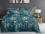  Комплект постельного белья Cleo Home Art Color, двуспальный, наволочки 70х70 см, полисатин, 20/125-AC/CL 