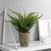 Искусственный цветок в горшке Нефролепис премиум, 24х8,5 см, микс, 10463223 Искусственный цветок в горшке Нефролепис премиум, 24х8,5 см, микс, 10463223