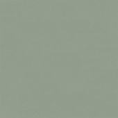  Обои 1.06х10м Physalis арт. 7307-12 Зеленый /Euro Decor 6 