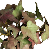 Искусственный цветок в горшке Плющ комнатный ультра, мягкий лист, 15х7 см, микс, 10455217 Искусственный цветок в горшке Плющ комнатный ультра, мягкий лист, 15х7 см, микс, 10455217