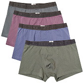 Трусы-шорты мужские арт. 80378, р. (4XL) Трусы-шорты мужские арт. 80378, р. (4XL)